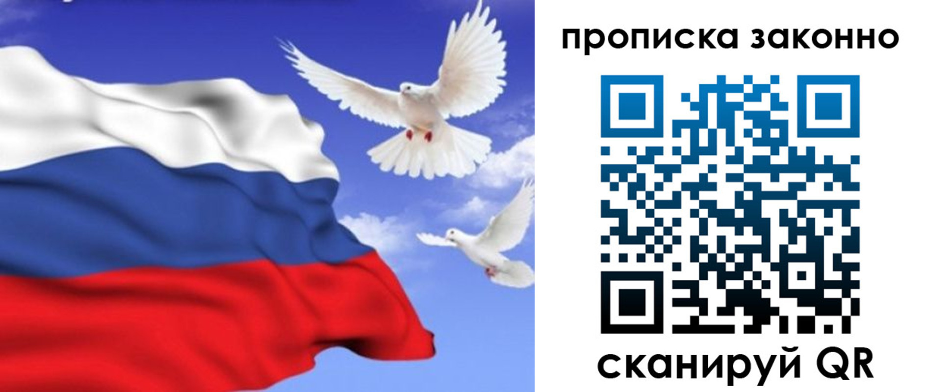 прописка в Дятьково